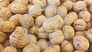 Lots of inshell walnuts texture