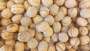 Lots of inshell walnuts texture