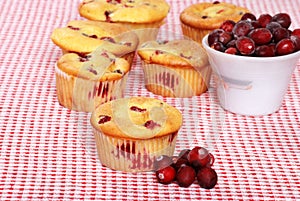 Lots Of Lemon Cranberry Muffins