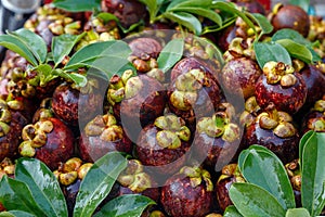 Lots of mangosteen fruit