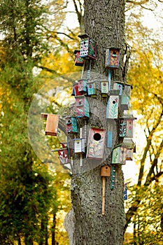 Lots of nesting boxes on a tree