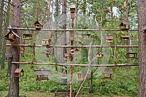 Lots of nesting boxes on a tree