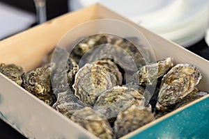 Lots of oysters inside the container before serving in the restaurant