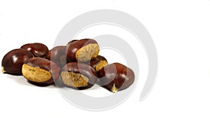 Lots of Parede class chestnuts isolated with white background photo