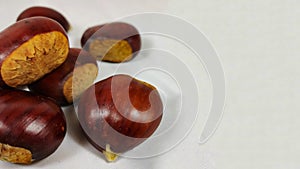 Lots of Parede class chestnuts isolated with white background photo