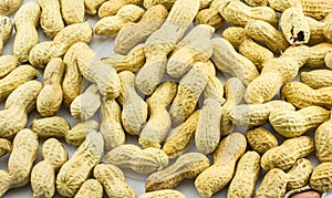 Lots of peanuts on white background