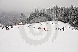 Lots of people having fun in snow photo