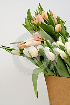 Lots of pink, white and salmon tulips in crafting packaging close-up on a white background.