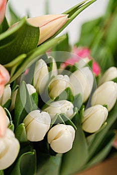 Lots of pink, white and salmon tulips in crafting packaging close-up on a white background.