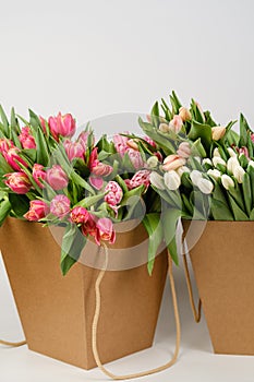 Lots of pink, white and salmon tulips in crafting packaging close-up on a white background.