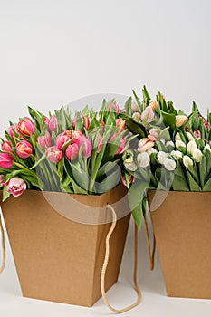 Lots of pink, white and salmon tulips in crafting packaging close-up on a white background.