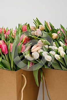 Lots of pink, white and salmon tulips in crafting packaging close-up on a white background.