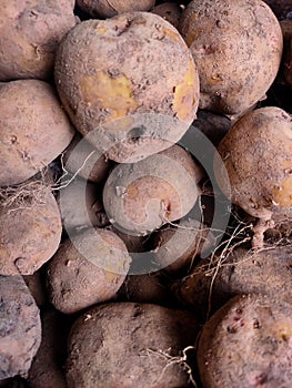 Lots of potatoes in market