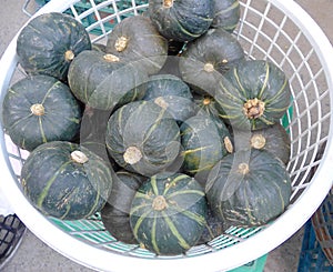 Lots of pumpkins closeup