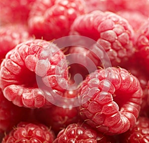 Lots of raspberries