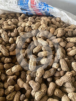 lots of raw peanuts
