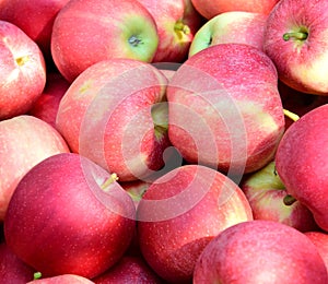 Lots of red delicious juicy apples in autumn in the evening sun after the apple harvest in South Tyrol, background and texture