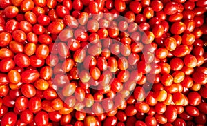 Lots red ripe tomatoes