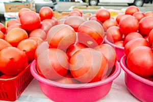 Lots of red tomatoes in plastic on the counter. Sale of tomatoes at the farmers' market. Red ripe tomatoes