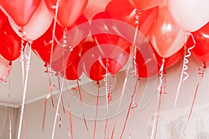 Lots of red and white balloons with curly ribbons in white room for romantic and children`s holidays with copy space background