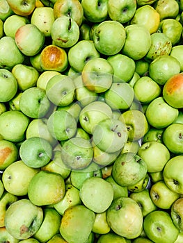 Lots of ripe green apples for cooking as a background