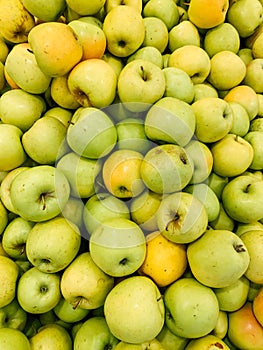 Lots of ripe green apples for cooking as a background