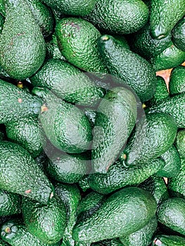 Lots of ripe green avocado for cooking background