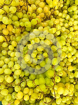 lots of ripe green grape vitamins healthy nutrition berries as background