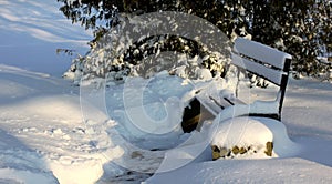 Lots of snow in the park