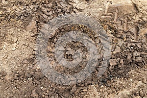 lots tire track on dirty soil ground for abstract background