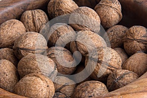 Lots of walnuts