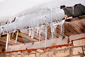 Lots of white long icicles on visor of roof of wooden house in spring