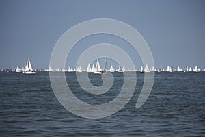 Lots of yachts sailing at the start of the round the island race 2014