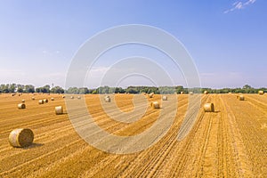 Lots of yellow bales of straw lying on  field