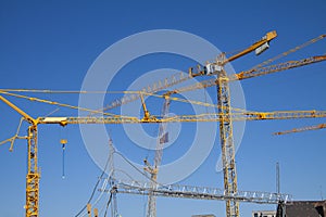 Lots of yellow cranes against a deep blue sky. Almost abstract composition with copy space