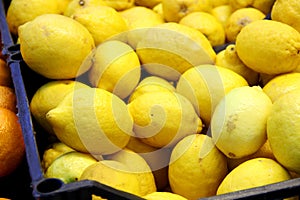 Lots of yellow lemons in the box, background. Good harvest citrus