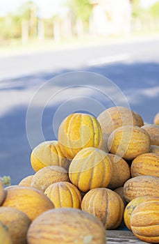 Lots of yellow melons