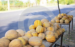 Lots of yellow melons in the bazaar