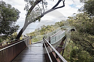 Lotterywest Federation Walkway Glass Arched Bridge in Kings Park, Perth, Australia