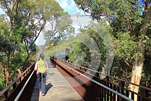 A woman walks on canopy walkway of Lotterywest Federation Walkway at King`s Park and Botanical Garden in Perth, Australia.