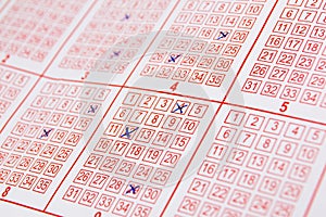Lotto ticket with ticked 1