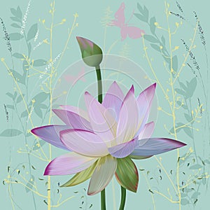 Lotus