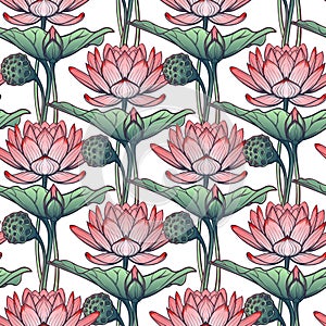 Lotus background. Floral pattern with water lilies on white background.