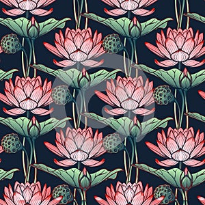 Lotus background. Floral seamless pattern with water lilies on deep blue background.