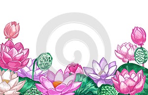 Lotus background. Hand drawn floral banner with pink lotus flower and leaves design for yoga center, cosmetic, greeting card