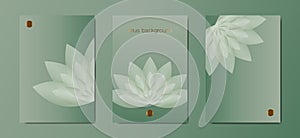 Lotus Banner Set Template, green Flower of Life cards. Sacred Geometry. Symbol of Harmony and Balance. Sign of purity. Chakra Yoga