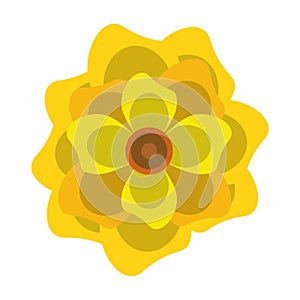 Lotus blossom flowers icon cartoon