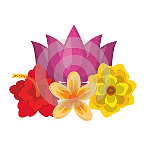 Lotus blossom flowers icon cartoon