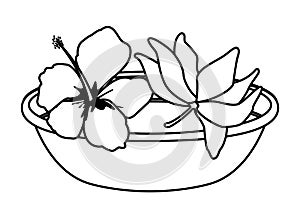 Lotus blossom flowers icon cartoon in black and white