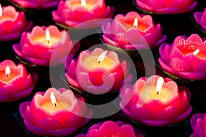 Lotus candle light illuminate a dark surrounding